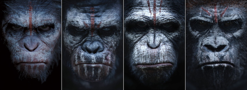 dawn of the apes, action, monkey, planet, 2K, drama, adventure, sci fi, apes, dawn
