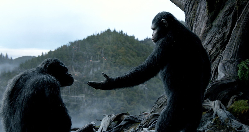 drama, apes, adventure, action, dawn, dawn of the apes, monkey, sci fi, 1080P, planet