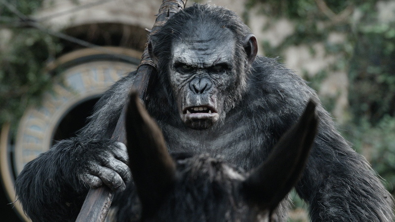 Dawn of the Planet of the Apes, Movie, 1080P