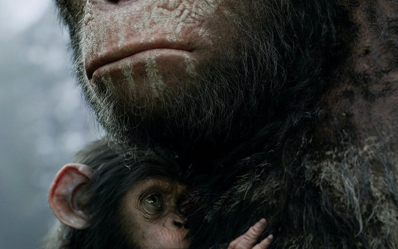 dawn, 1080P, monkey, sci fi, drama, dawn of the apes, planet, apes, adventure, action