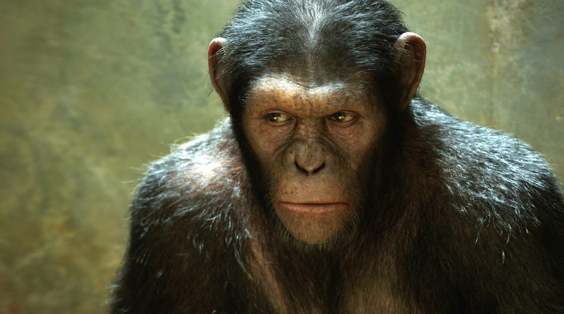 adventure, apes, 2K, monkey, sci fi, dawn, action, dawn of the apes, planet, drama