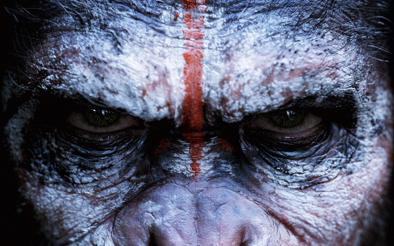 movies, 1080P, Apes, Dawn Of The Planet Of The Apes, Planet Of The Apes