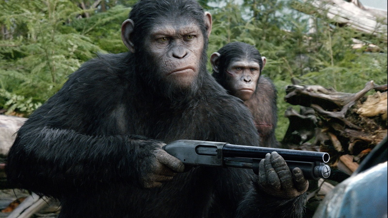 Dawn of the Planet of the Apes, Movie, 1080P