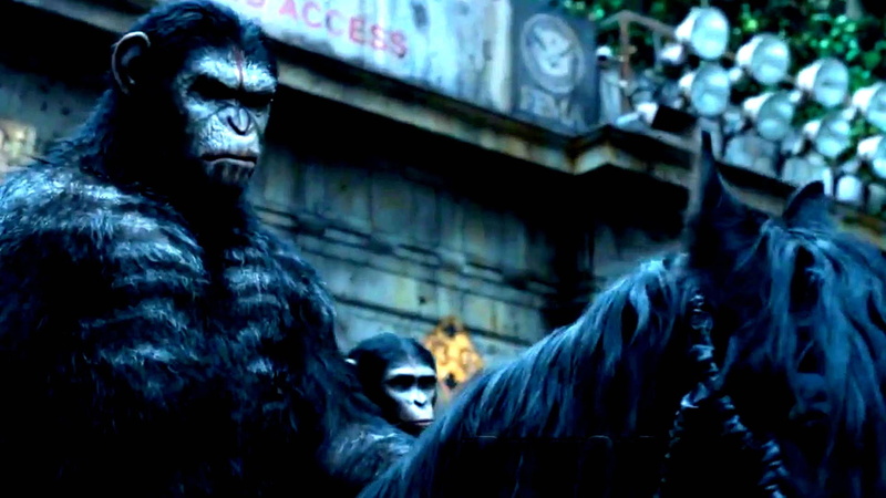 dawn of the apes, adventure, planet, sci fi, action, monkey, apes, drama, 1080P, dawn