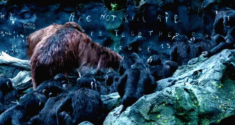 monkey, planet, adventure, sci fi, drama, dawn of the apes, apes, 720P, dawn, action