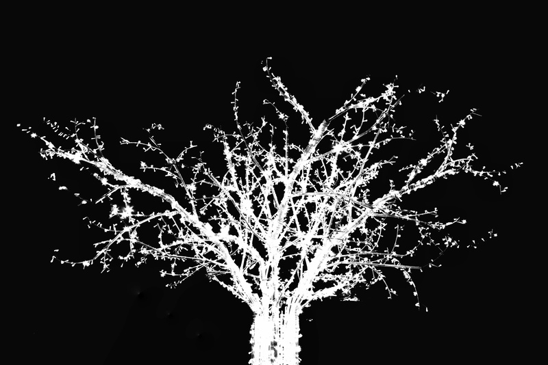 beauty in nature, light, bournemouth, motion, black and white, beautiful, bournemouth christmas tree wonderland, exploding, bournemouth gardens, sky, b/w
