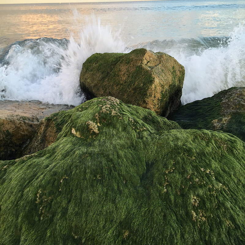 power in nature, scenics - nature, sport, hitting, aquatic sport, motion, no people, wave, outdoors, sea, 1080P, beach, breaking, rock - object, solid