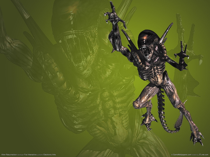 close-up, animal themes, arthropod, sci fi, plant, spider, plant part, animal, arachnid, green color, aliens, nature, animal wildlife, leaf, animals in the wild