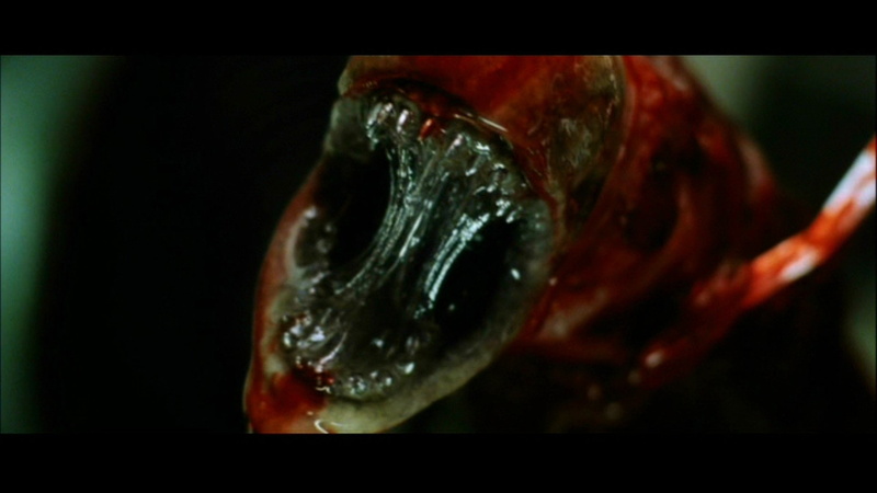 1080P, Alien, Alien: Resurrection, Movie