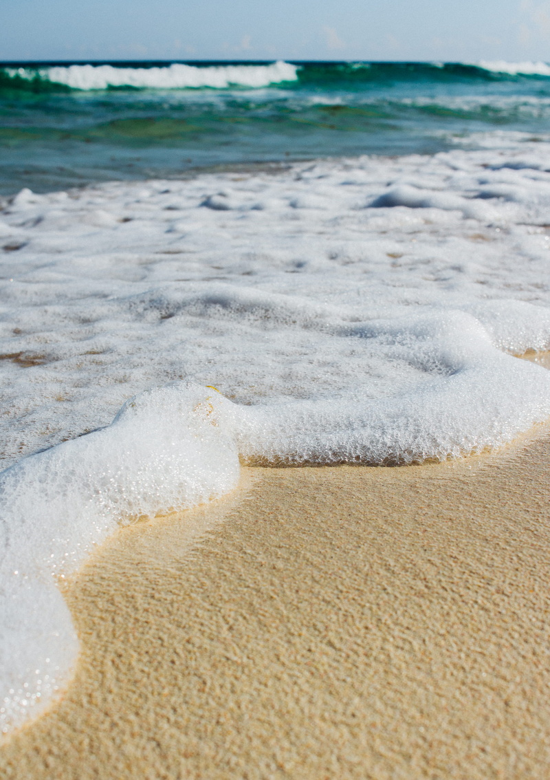 blue beach, outdoors, sport, beauty in nature, invertebrate, conch, beautiful places, sponge animal, seashell, horizon over water, horizon, surfing, land