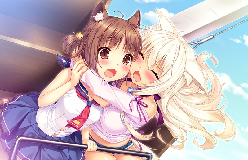720P, Neko Para, Coconut (Nekopara), Azuki (Nekopara