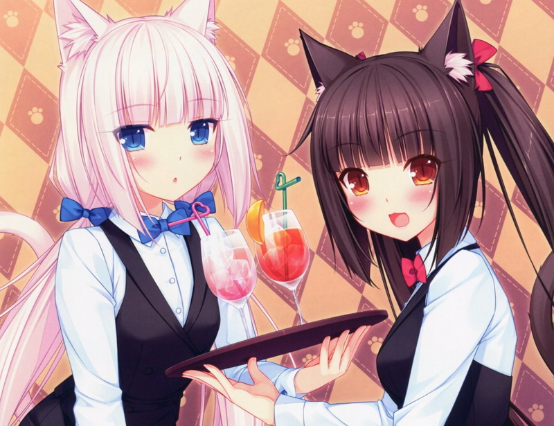 Chocola (Nekopara), Cat Girl, Tail, Animal Ears, Nekopara, Blush, Anime, Brown Hair, Girl, Blue Eyes, Vanilla (Nekopara), Long Hair, Yellow Eyes, Ponytail