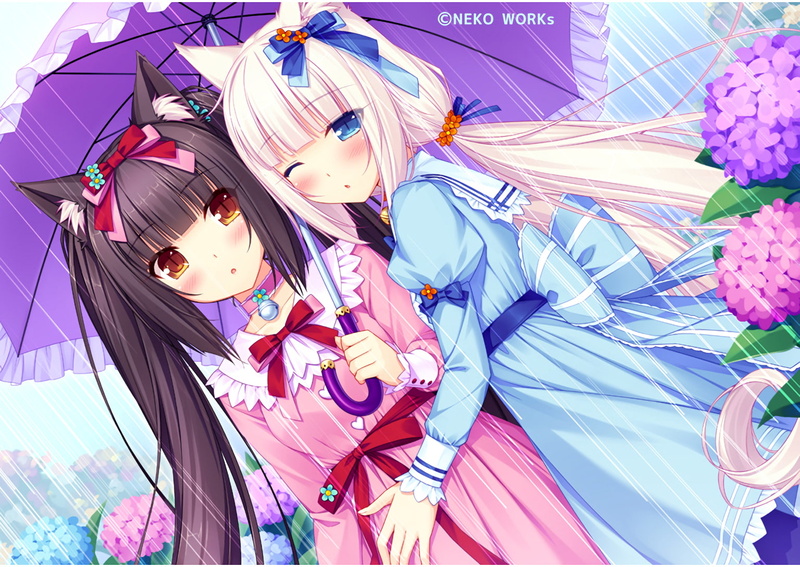 Anime, one person, looking at camera, pink color, women, child, purple, nekopara, sayori, childhood, headshot, lifestyles, young women, visual novel, females