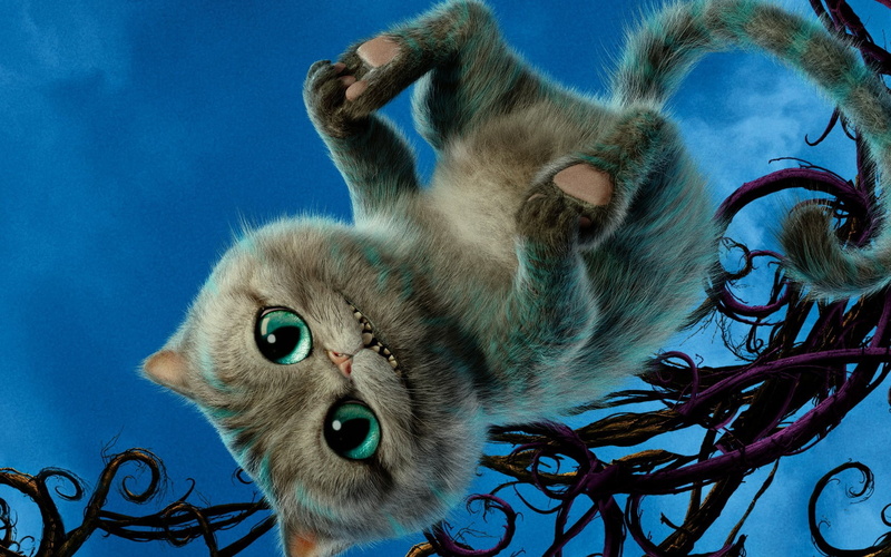 cute, fur, whisker, animal head, domestic Cat, animal body part, 720P, illustration, looking at camera, cheshire cat, close-up, nature, one animal