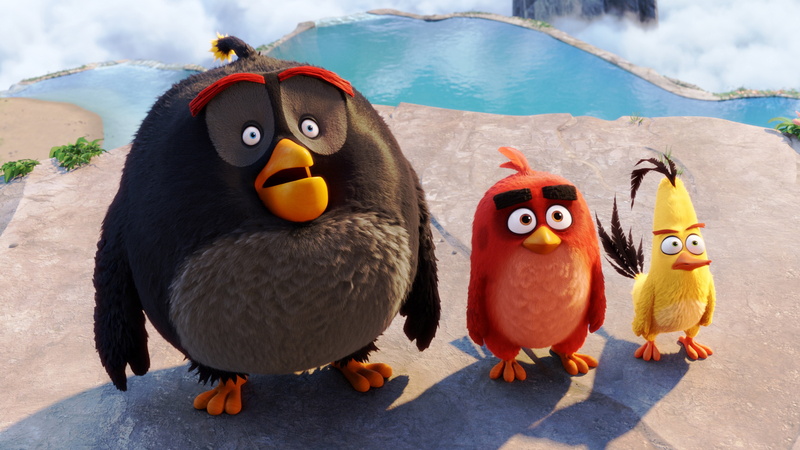 animated movies, focus on foreground, penguin, full length, birds, animal, 2016 movies, close-up, nature, bird, animal wildlife, day, beauty in nature