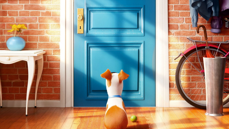 door, cartoon, dog, 2K, white, blue, brown, movie, The Secret Life of Pets, Best Animation Movies of 2016, character, front