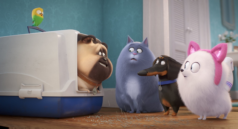 The Secret Life of Pets 2, 2K, Movie