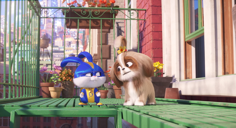 Movie, The Secret Life of Pets 2, 2K