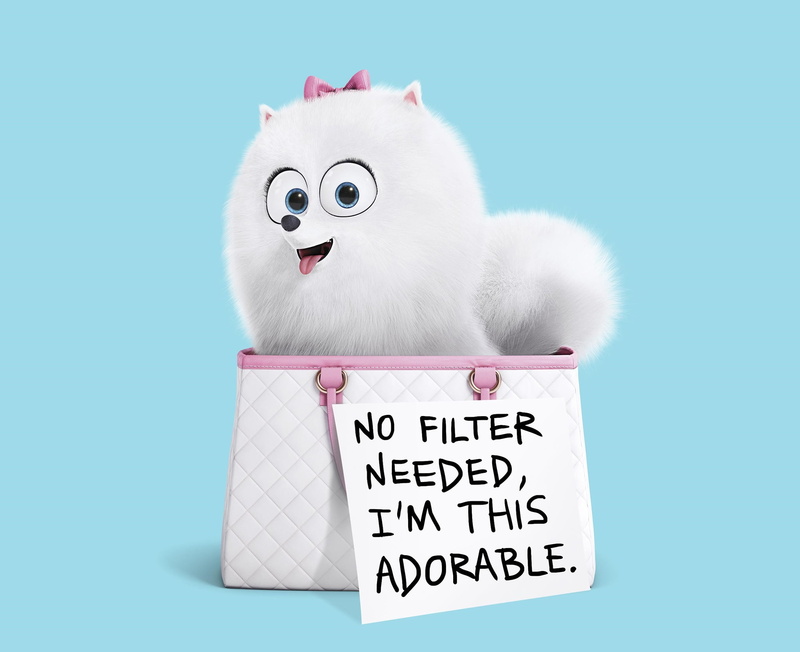 The Secret Life of Pets 2, Gidget (THe Secret Life Of Pets), Movie, 1080P