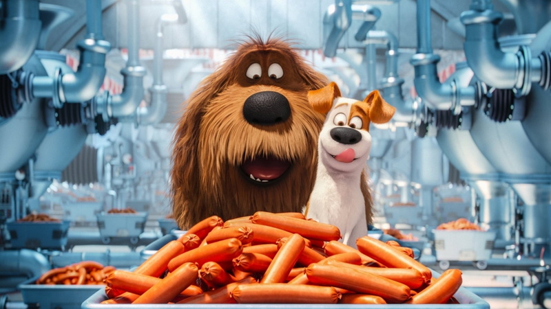Movie, The Secret Life of Pets, 1080P