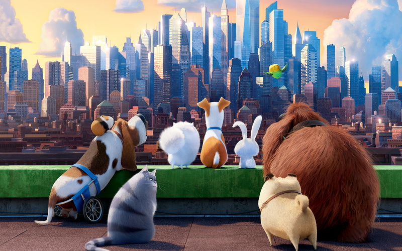 cartoon, the secret life of pets, 4K, animals backgrounds