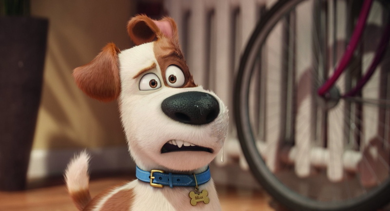 indoors, chihuahua - dog, toy, focus on foreground, representation, no people, domestic, pets, fun, Movie, animal body part, domestic animals, mouth open