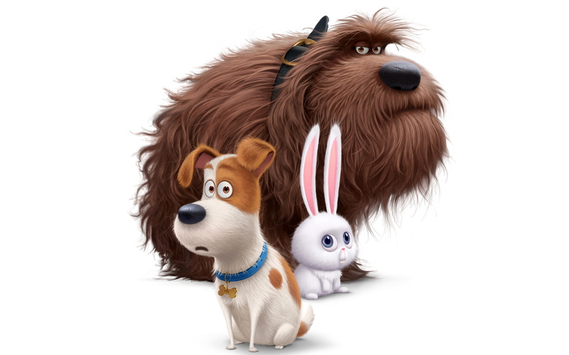 Secret, white background, Pets, cut out, animal, close-up, representation, Life, small, toy, domestic animals, 2K, indoors, domestic, two animals, group of animals