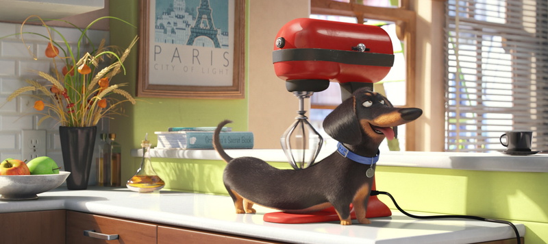 the secret life of pets, 2K