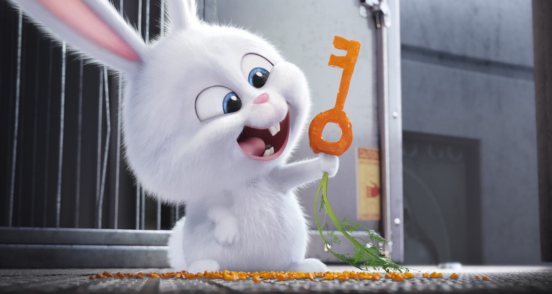 whisker, vertebrate, the secret life of pets  super, white color, indoors, feline, representation, one animal, mammal, cat, domestic, pets, domestic animals