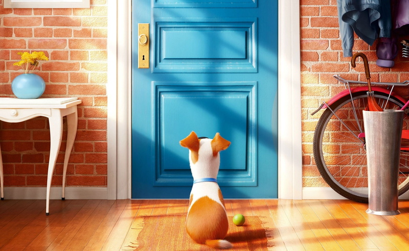 hand, home, human body part, door, body part, brick, the secret life of pets hd, appliance, domestic room, day, human hand, home interior, domestic life