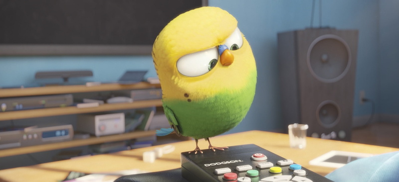 technology, bird, the secret life of pets background hd, yellow, 1080P, desk, humor, fun, communication, focus on foreground, arts culture and entertainment