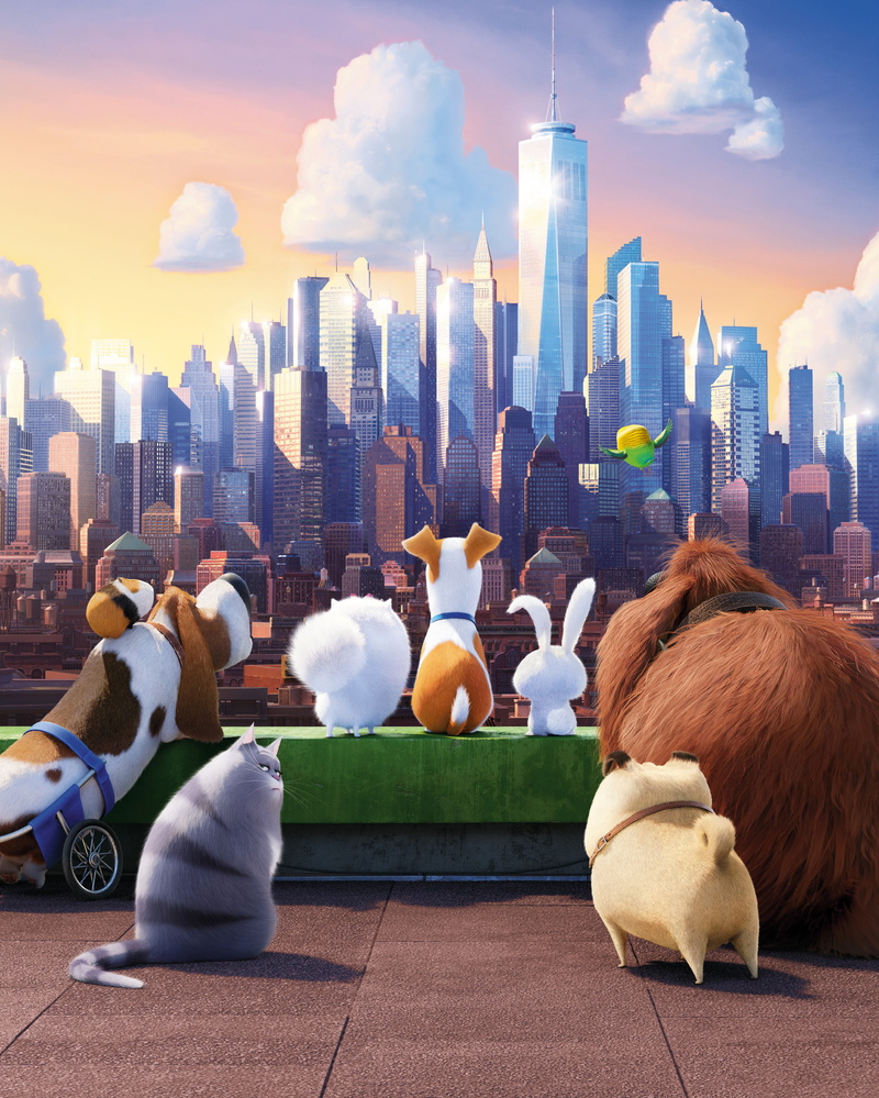 The Secret Life Of Pets, 2016 Movies, 1080P