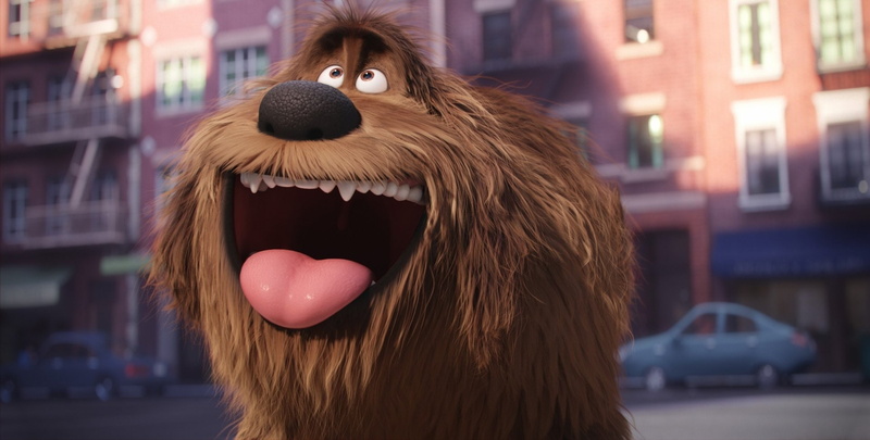 Movie, 1080P, Dog, The Secret Life of Pets