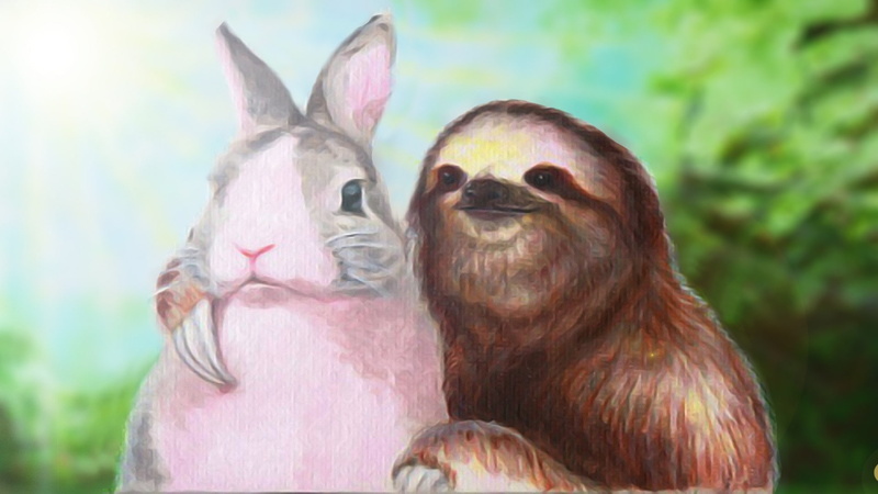 humor, rabbits, 1080P, sloths