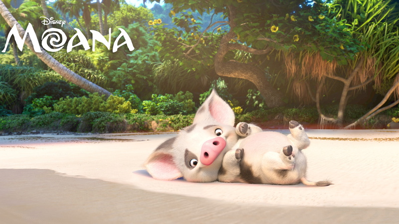 piggy, Moana, pugo, movie, disney, best animation movies of 2016, 4K
