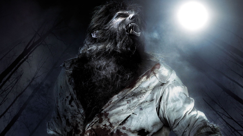 celebration, wolfman, indoors, black background, night, ape, monster - fictional character, spooky, one animal, people, werewolf, 1080P, evil, halloween