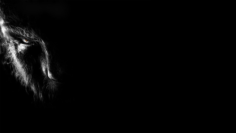 women, unrecognizable person, portrait, human body part, copy space, studio shot, dark, real people, one person, black background, close-up, werewolf, hair