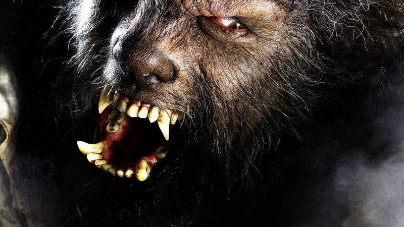movies, 1080P, creepy, monkey, hd, the, king, werewolf, wolfman, illustration, teeth