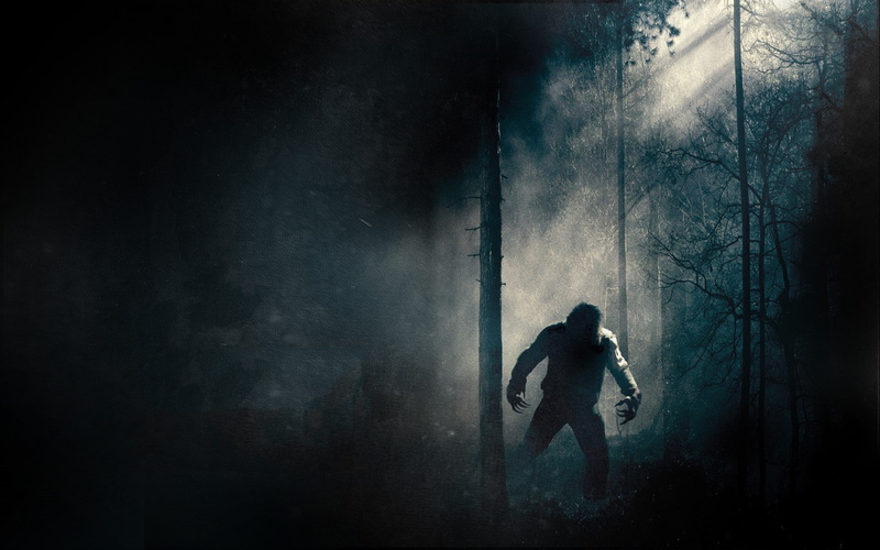 wolfman, 1080P, creepy, Dark, forest