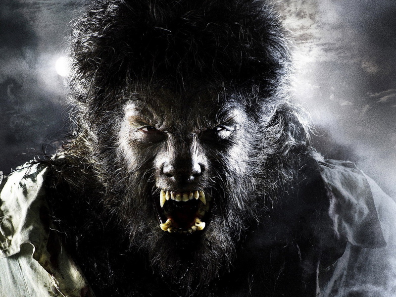 horror, wolfman, the, werewolf, dark, thriller, 1080P, drama
