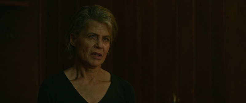 Terminator, 1080P, Linda Hamilton, Terminator Dark Fate