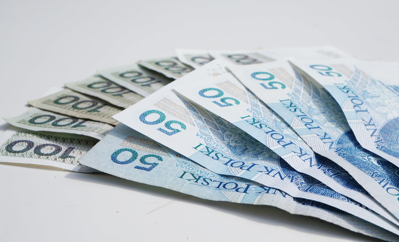 wallet, amount, 2K, economy, white, a wealth of, shopping, number 100, savings, business, paying, means of payment, finance, assorted, polish, wealth