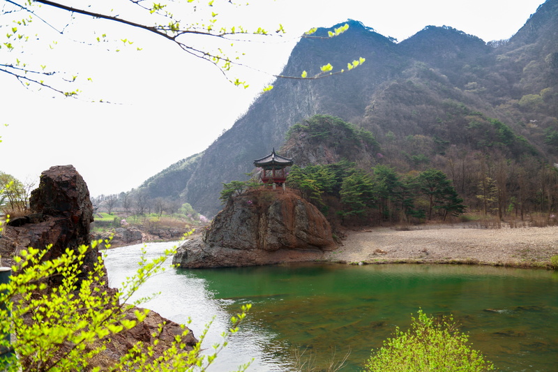 korean traditional, rock, non-urban scene, day, chungbuk, river, november set, beauty in nature, one animal, mountain, no people, korea, mountain range