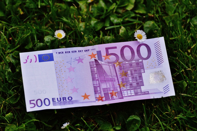 outdoors, publication, land, euro notes, seem, growth, day, freshness, field, euro bills, save, flower, no people, currency, euro, nature, flowering plant