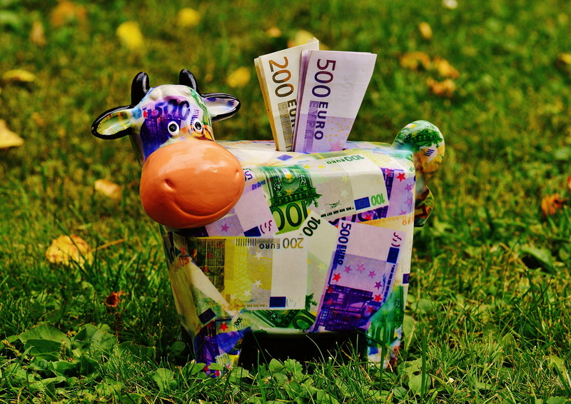 coin, bank, small, paper currency, piggy bank, piglet, ceramic, dollar bill, field, day, representation, save money, text, finance, money, communication