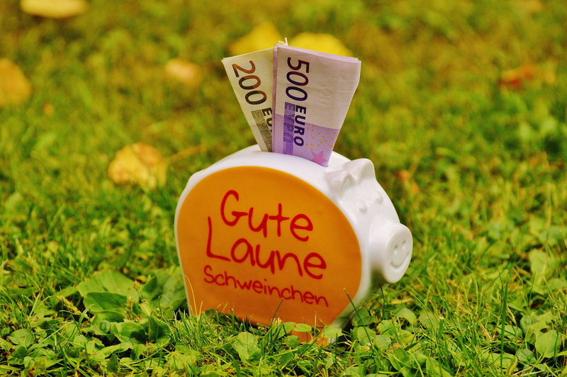 500 euro, field, capital letter, piglet, no people, save, message, day, finance, land, euro, economical, text, dollar bill, outdoors, close-up, 4K, focus on foreground