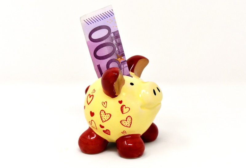 animal, number, currency, text, save money, 5K, cut out, close-up, savings, studio shot, money, 500 euro, white background, save, animal representation