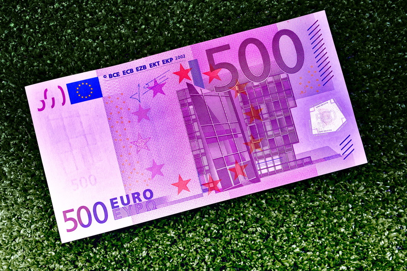 pink color, no people, value, business, euro notes, nature, currency, 500, number, green color, finance, paper money, grass, euro bills, save money, 500 euro
