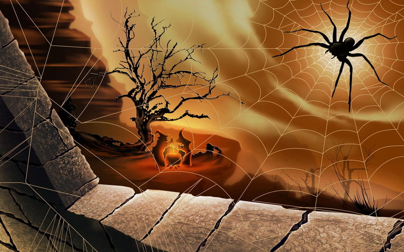 picture, halloween, spider, 1920x1200, 1080P, 4k sider