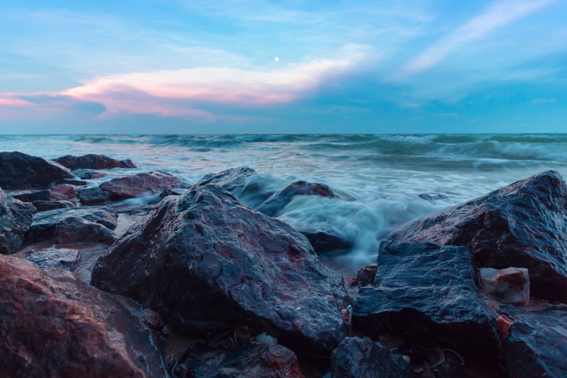 water, birds, sea water, in the sand, horizon over water, day, bright, tour, seashore, outdoors, rock - object, beauty in nature, sunny, sky, peace, holidays